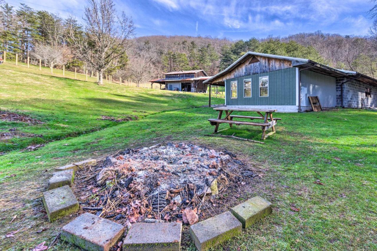Pet-Friendly Blue Ridge, Cherokee Forest Retreat! グリーンビル  エクステリア 写真